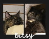 Betsy - Photo 1