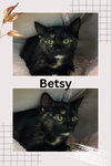 Betsy - Photo 2