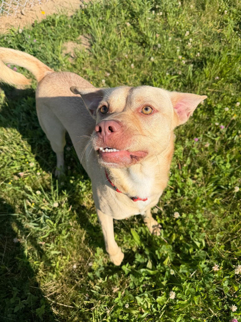 Zeus - Long Term Resident