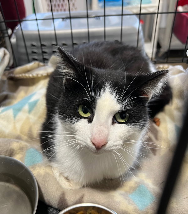Eva -LONG TERM 2*21*25- fee waived