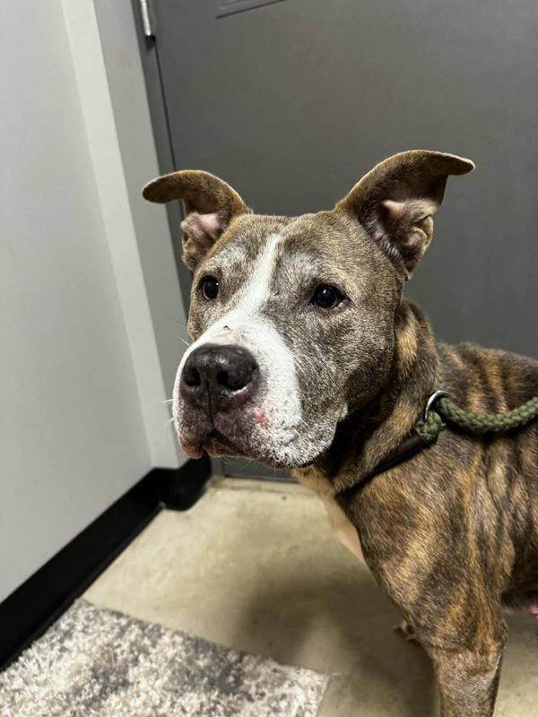 Zora - Fee Waived