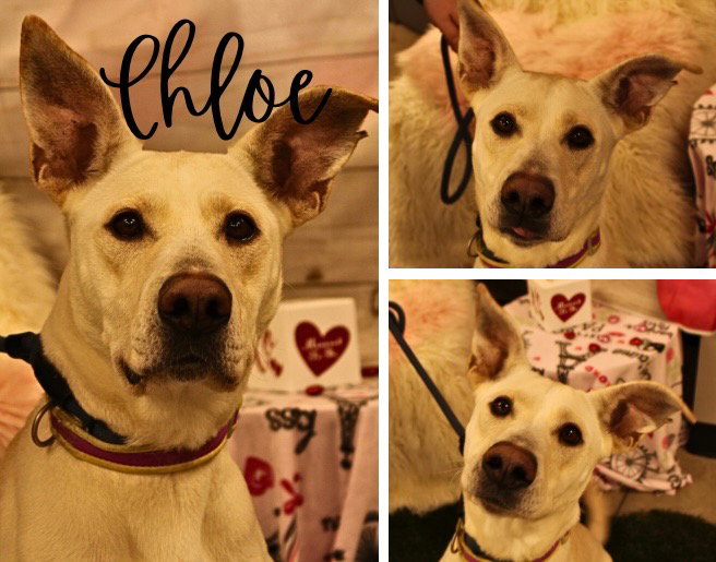 Chloe Image