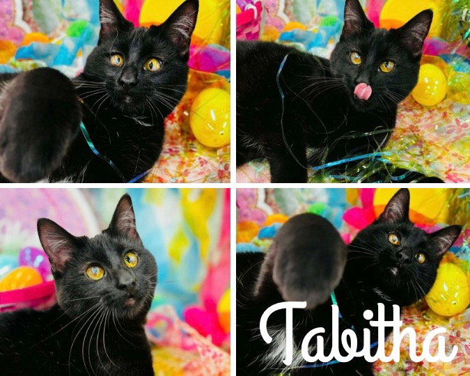 Tabitha- LONG TERM 9*11*25