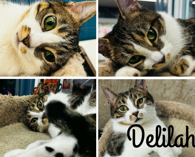 Delilah