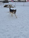 Atlas - Photo 2
