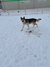 Atlas - Photo 3