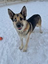 Atlas - Photo 4