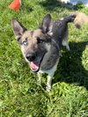 Atlas - Long Term Resident - Photo 3