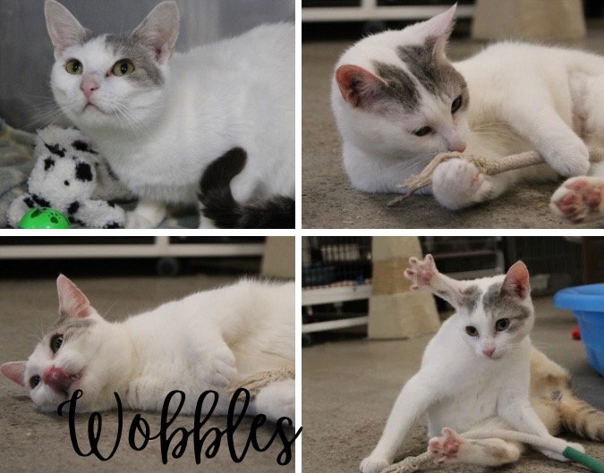 Wobbles