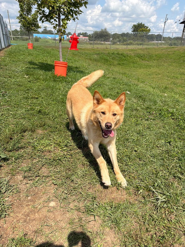 Zeke