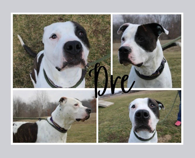 Dre Image