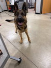 Heidi - Photo 2