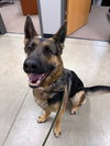 Heidi - Photo 3