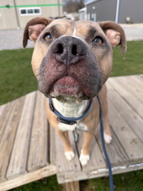 Photo 3 of Zeus