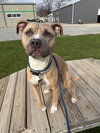 Zeus - Photo 4
