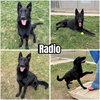 Radio - Photo 1