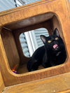 Spirit - Silo Fee Waived - Photo 3