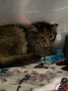 Mousse- BARN - Photo 2