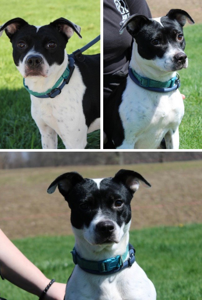 Mitzi Image