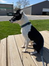 Mitzi - Photo 4