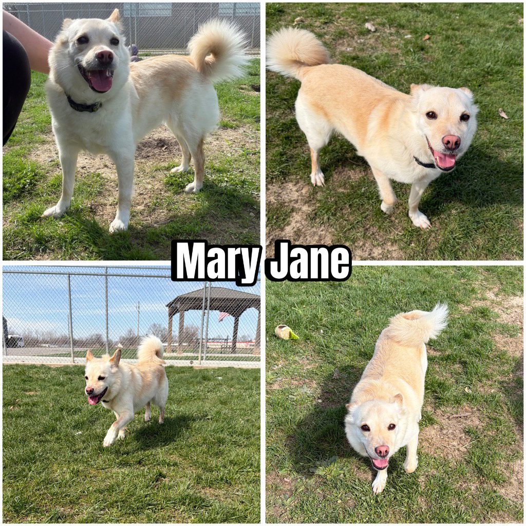 Mary Jane Image