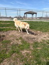 Mary Jane - Photo 3
