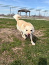 Mary Jane - Photo 4