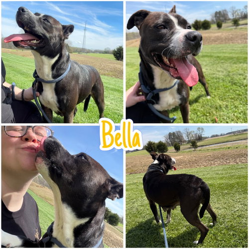 BELLA
