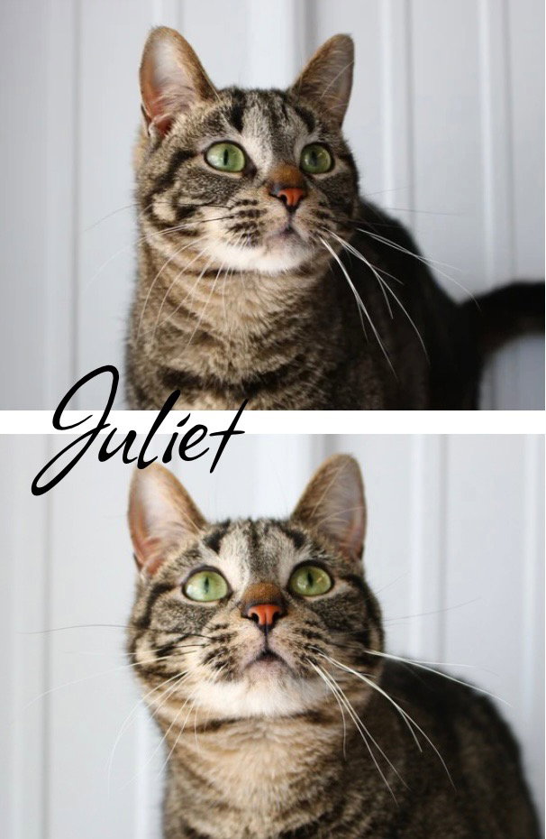 Juliet