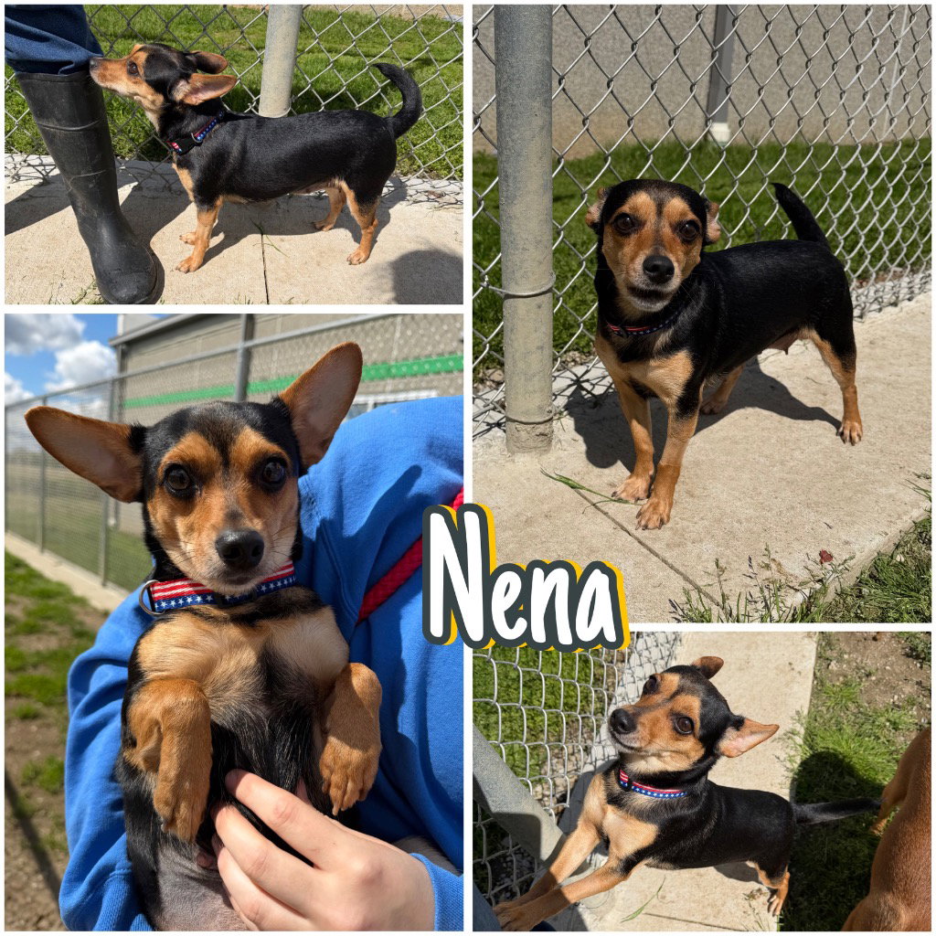 Nena