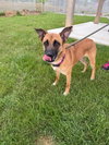Hattie - Photo 2