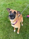 Hattie - Photo 3