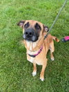 Hattie - Photo 4