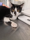 Socks - Photo 2