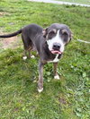 Momma - Photo 4