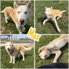 Max - Photo 1