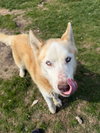Max - Photo 2