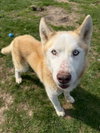 Max - Photo 3