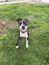 Cheyenne - Photo 2
