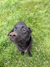 Astrid - Photo 2