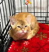 Billy-BONDED W/BRODY - Photo 2
