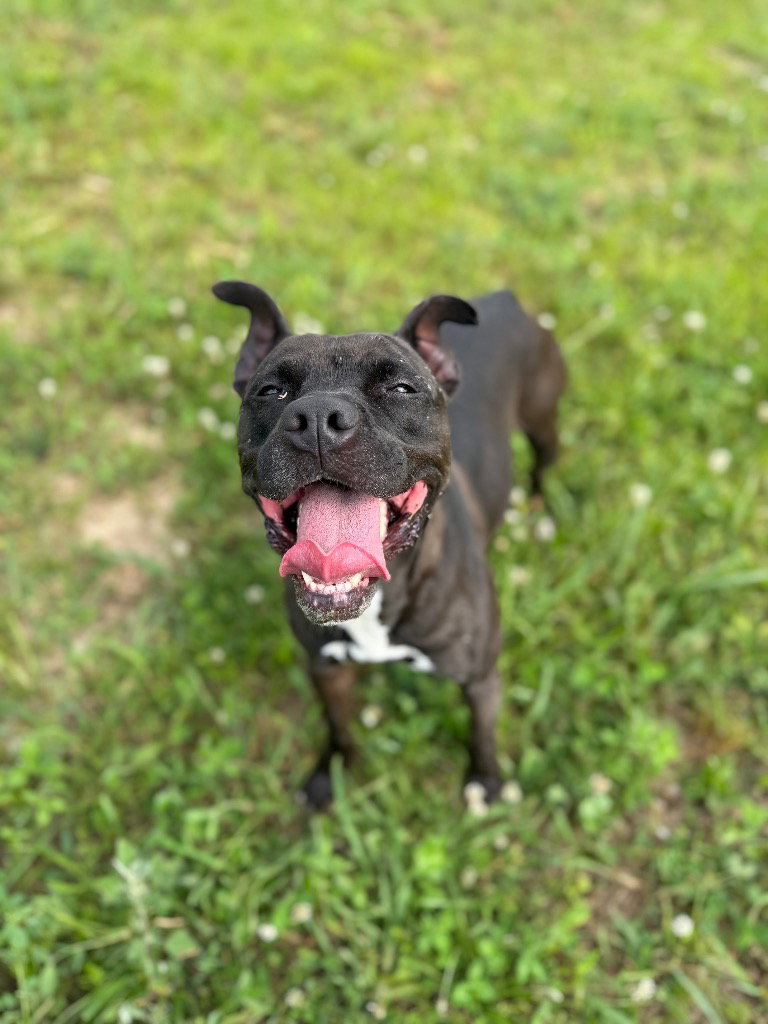 Esther - Fee Waived, photo 4