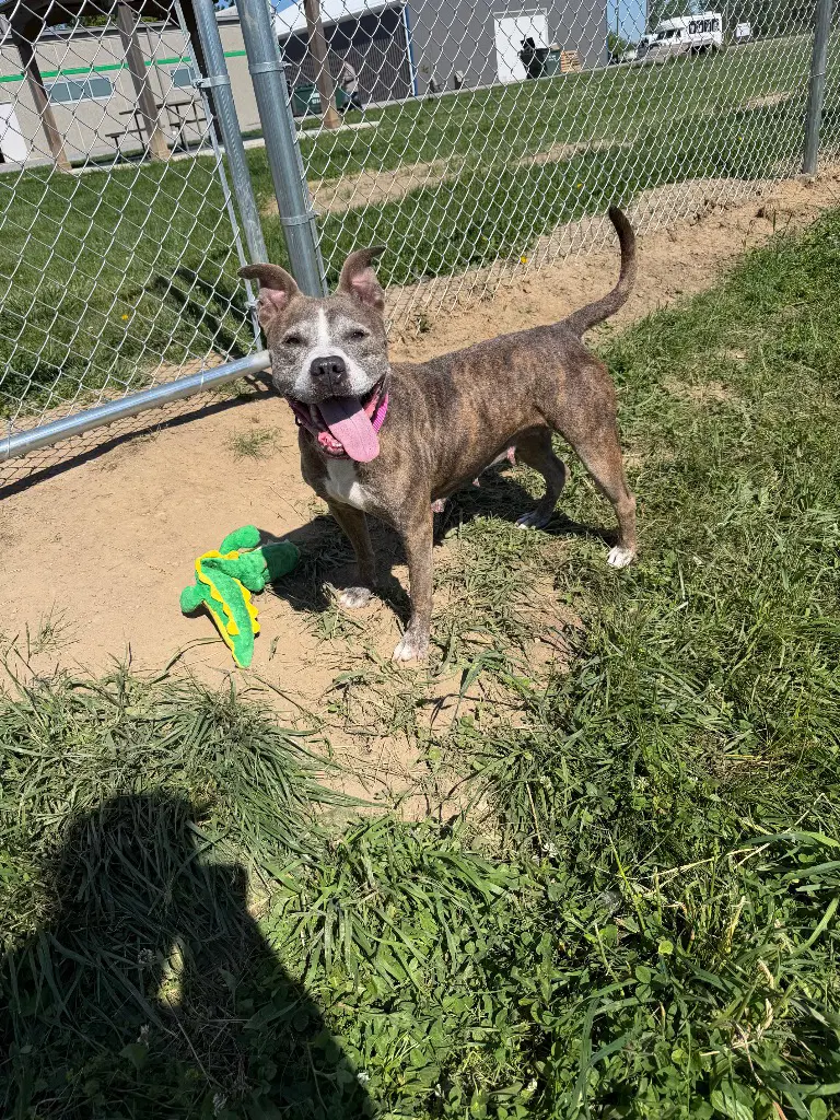 Zora - Fee Waived - Long Term Resident image 2