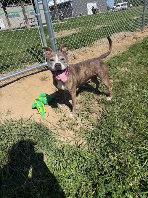 Zora photo 2