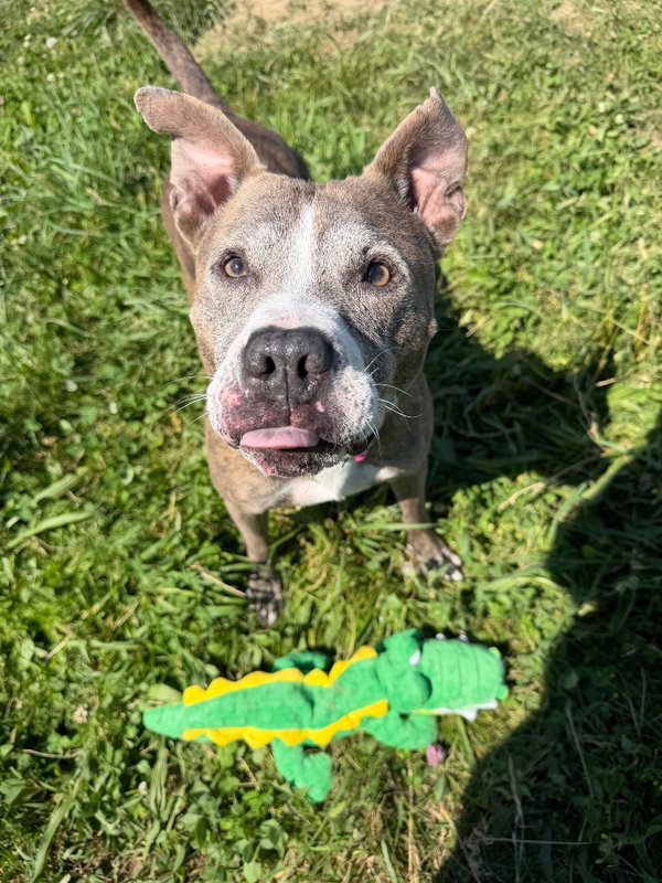 Zora - Fee Waived - Long Term Resident