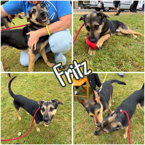 Fritz