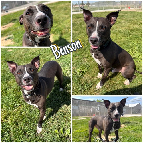 Benson