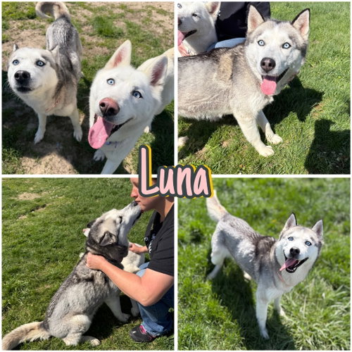 Luna