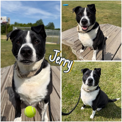 Jerry
