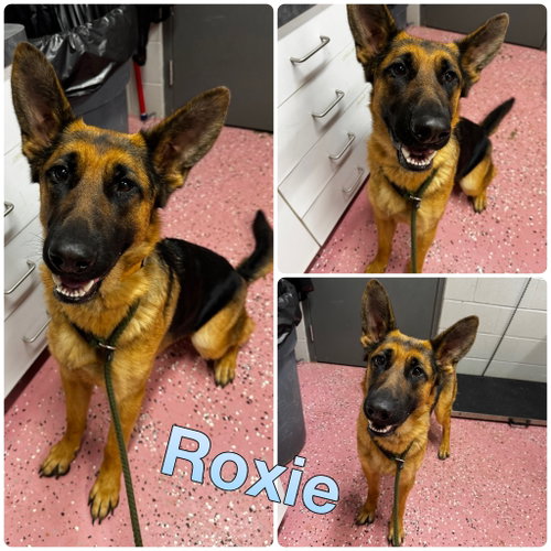 Roxie